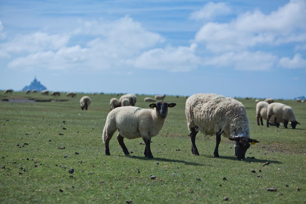 Le Mouton Blanc Otel Mont-Saint-Michel Dış mekan fotoğraf